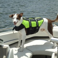 Jack stands proudly on the bow of the speed boat, sporting his neon green life vest.