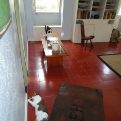 A partial view of Hemingway's writing room. Note the cat lounging on the floor, one of the famous five-toed cats that wander the grounds.